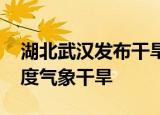 湖北武汉发布干旱橙色预警 部分地区已达重度气象干旱