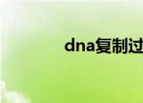 dna复制过程（dna复制人）