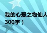 我的心爱之物仙人掌作文300字（仙人掌作文300字）